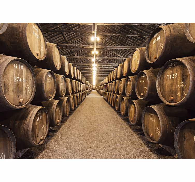 Fotomural de parede 3d Pipas de vinho - TenStickers