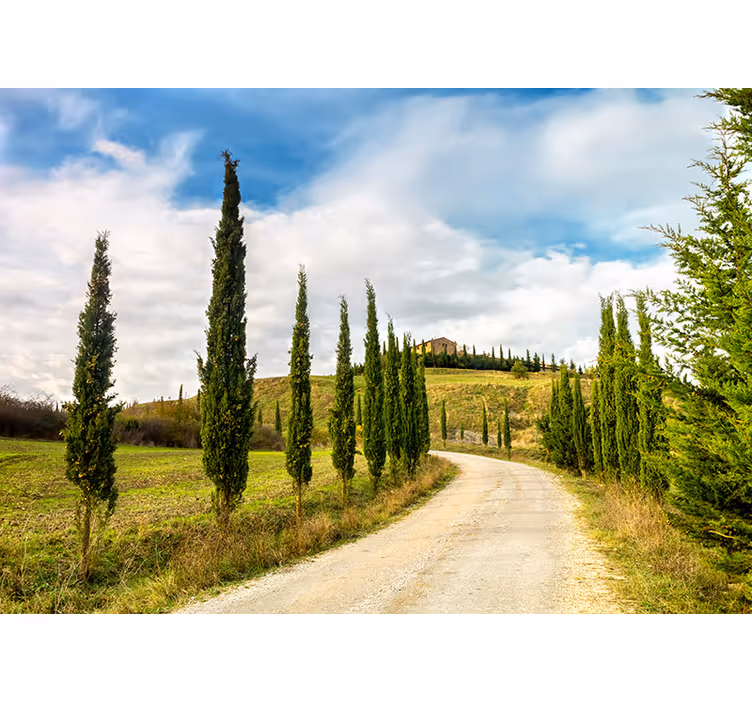 Mural de parede natureza fotomural paesaggio colline toscane - TenStickers