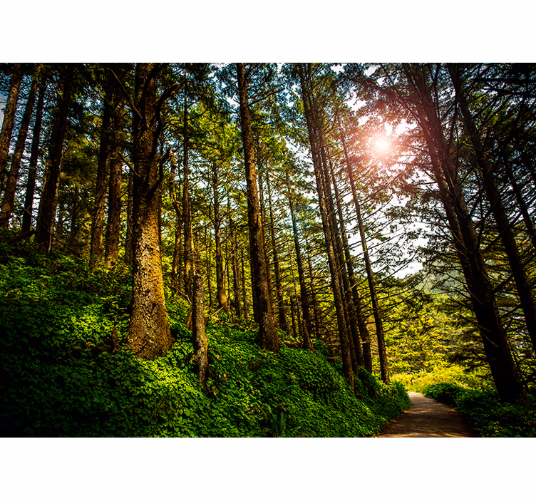 Fotomurais de paisagens Dia de Maio Solarento - TenStickers