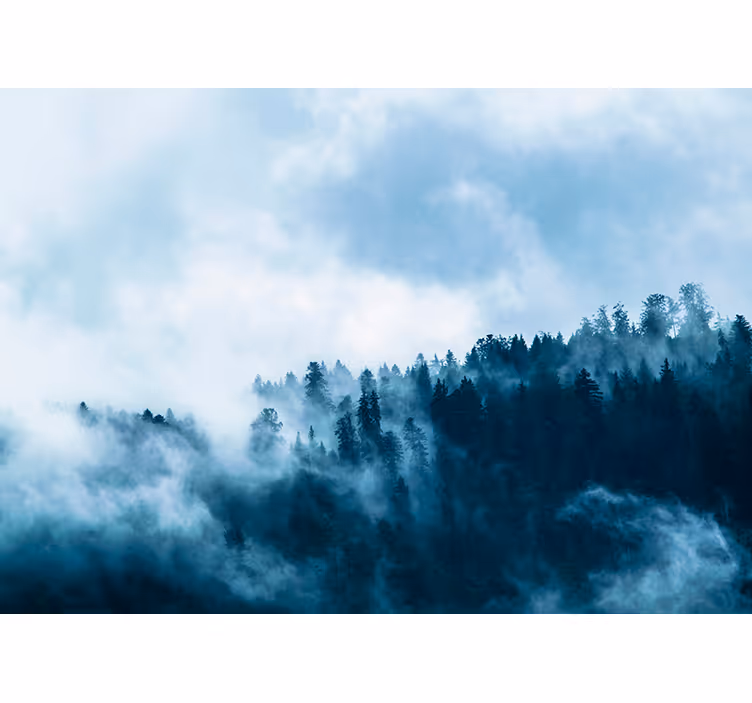 Fotomurais de paisagens Floresta no Inverno - TenStickers