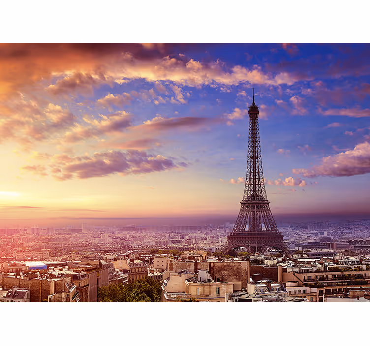 Fotomural decorativo Paris vista aérea - TenStickers