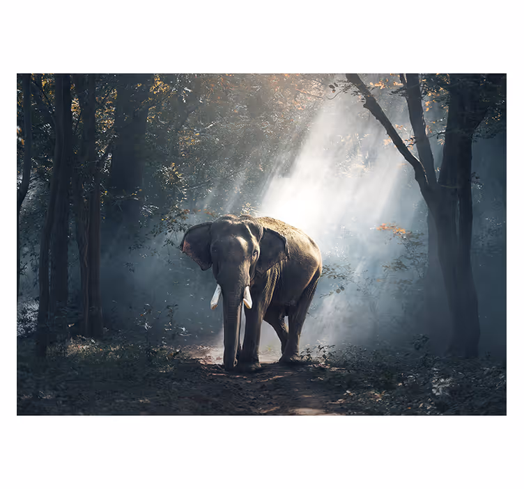 Fotomural elefante na floresta - TenStickers