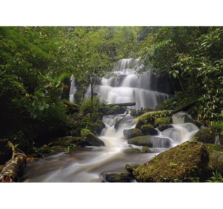 Fotomural decorativo de natureza floresta e cascata - TenStickers