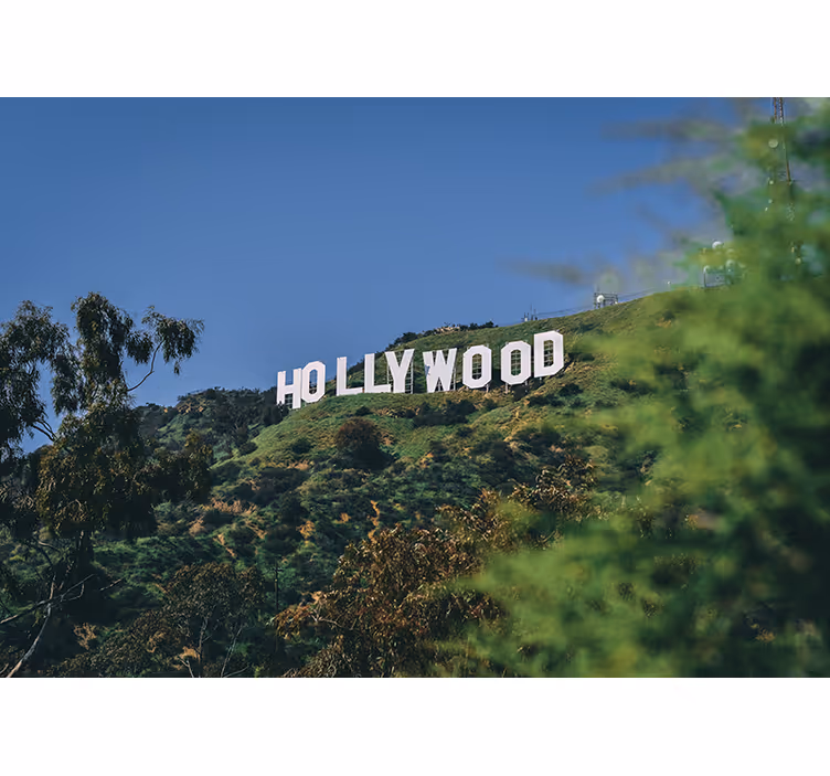 Mural de parede decorativo Hollywood - TenStickers