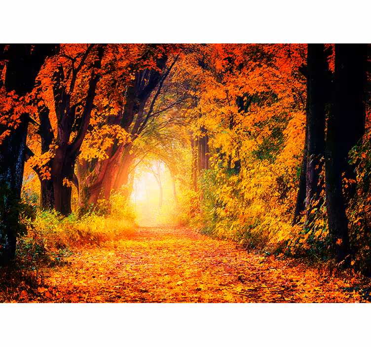 Fotomurais de paisagens Espelho da Natureza - TenStickers