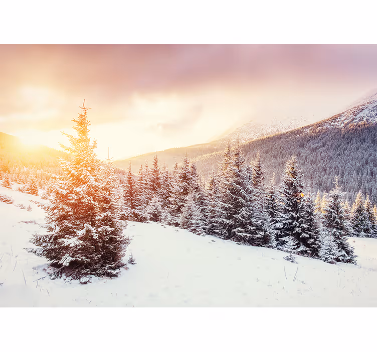 Fotomural de parede de montanhas nevadas - TenStickers