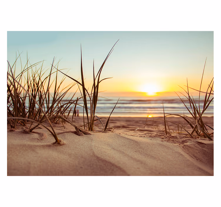 Fotomurais de paisagens pôr do sol sereno na praia - TenStickers