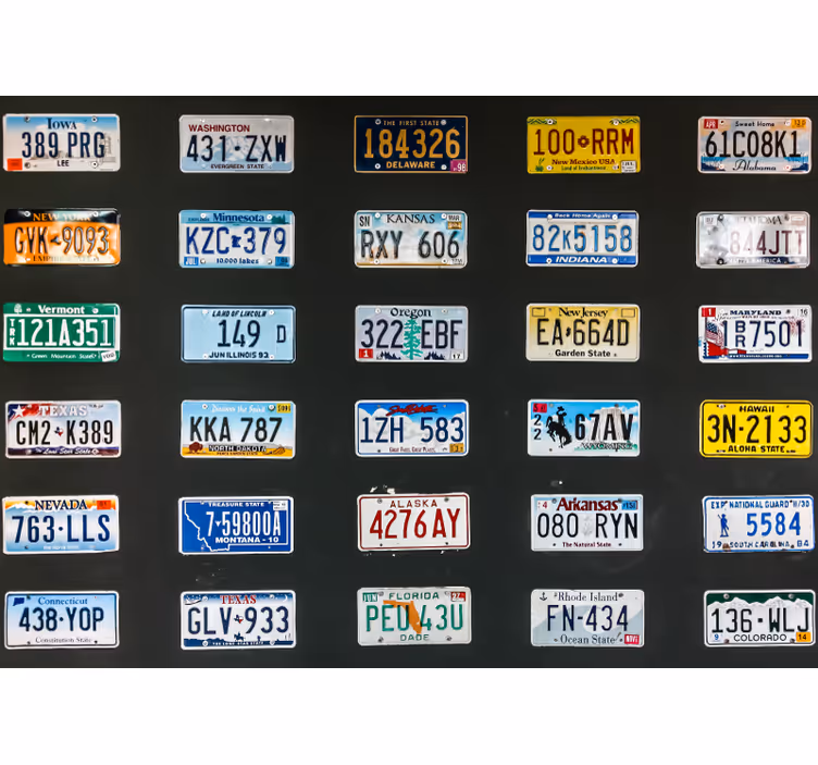 Mural de parede veículos placas de licença coloridas - TenStickers