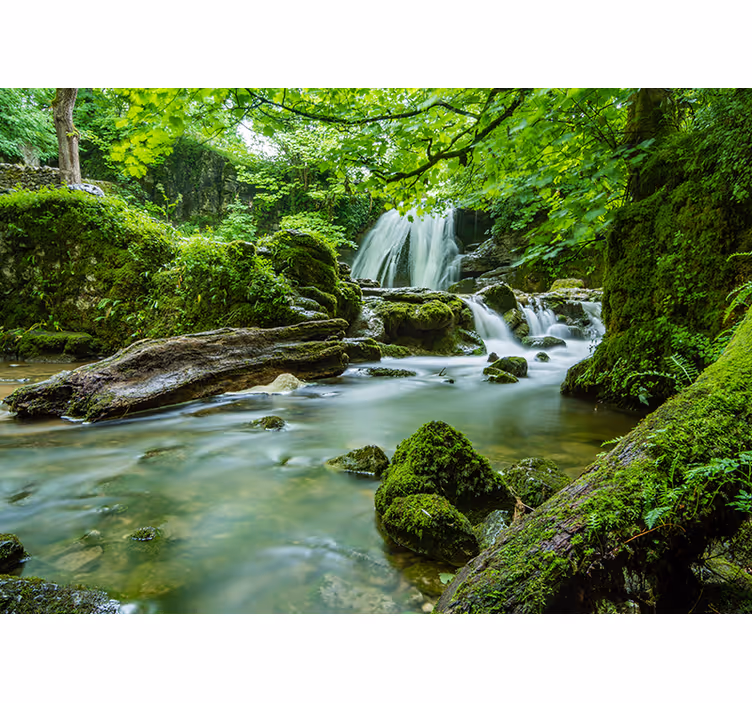 Murais de Parede 3D Floresta com cachoeira e rio - TenStickers