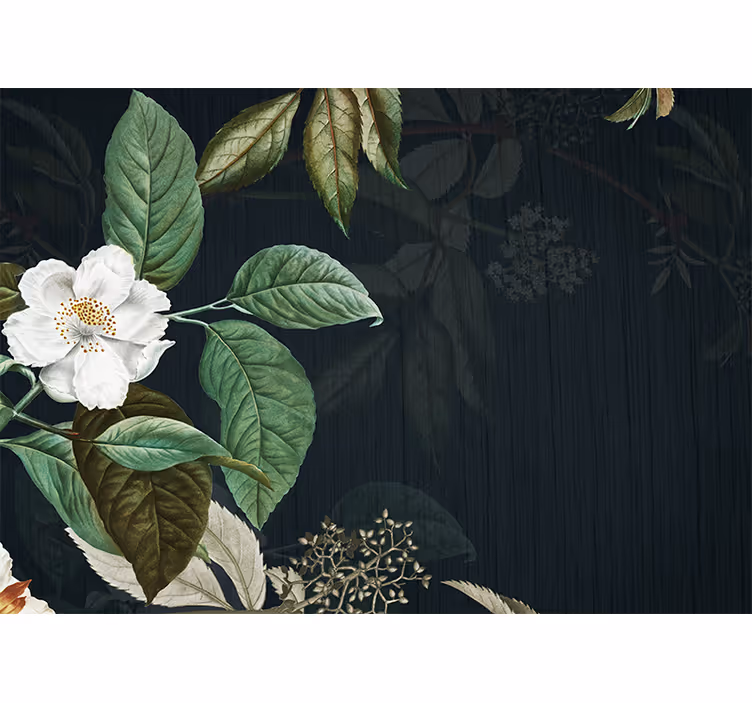 Fotomurais flores flor branca elegante - TenStickers