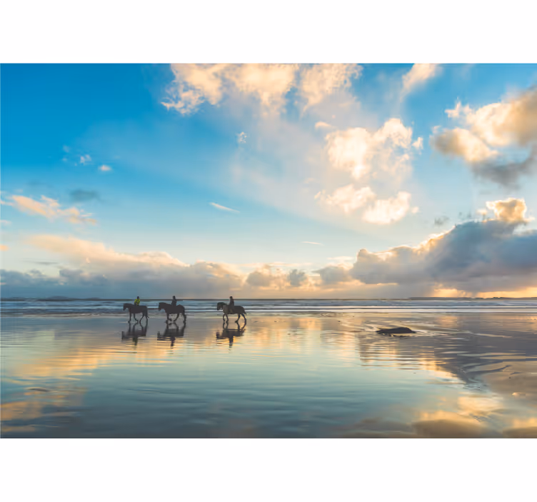 Fotomurais de paisagens cavaleiros à beira-mar - TenStickers