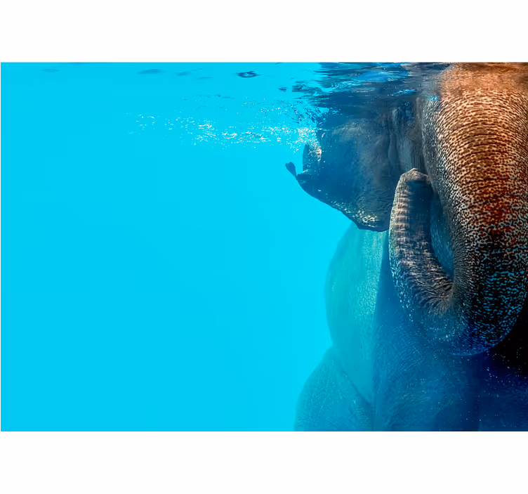 Fotomurais de paisagens Elefante na sala de estar no fundo do mar - TenStickers