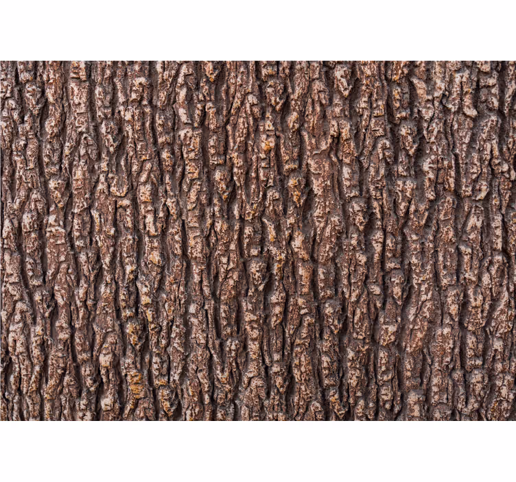 Fotomurais texturas e padrões Textura de madeira de casca de árvo - TenStickers