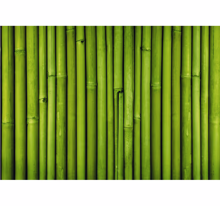 Mural de parede bambu talos de bambu verde - TenStickers