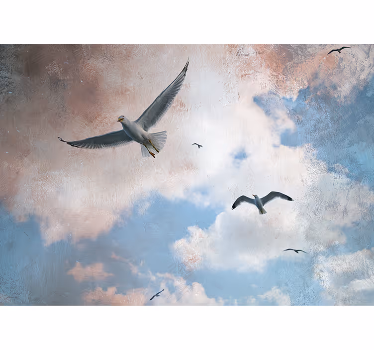Céu aberto com pássaros voando fotomural de parede - TenStickers