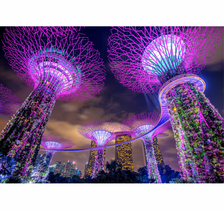 Fotomurais cidades e países estruturas de jardim futuristas - TenStickers