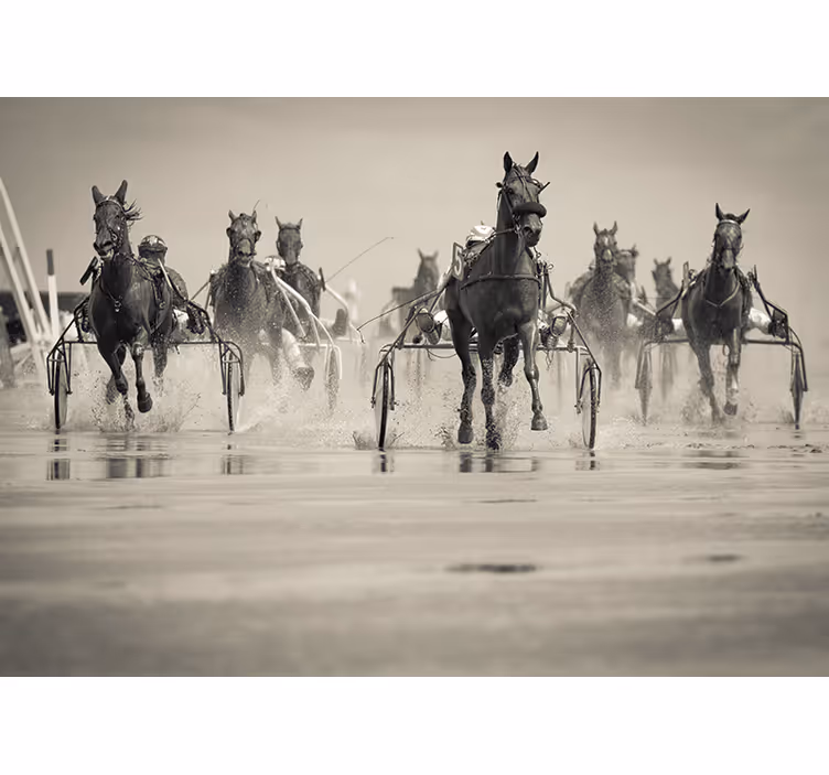 Mural de parede animais cavalos correndo juntos - TenStickers