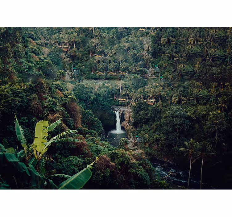 Mural de parede natureza cachoeira da selva luxuriante - TenStickers