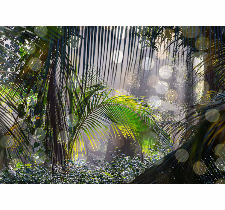 Fotomural selva cena de vegetação exuberante - TenStickers