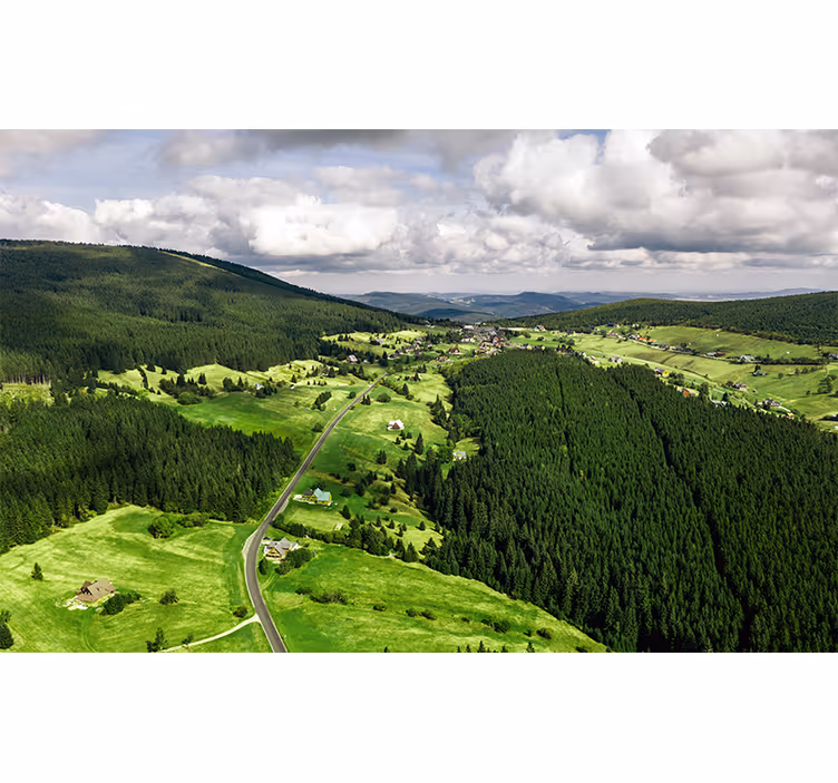 Fotomurais de paisagens colinas verdes e luxuriantes - TenStickers