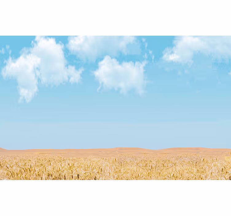 Fotomurais de paisagens céu e trigo - TenStickers