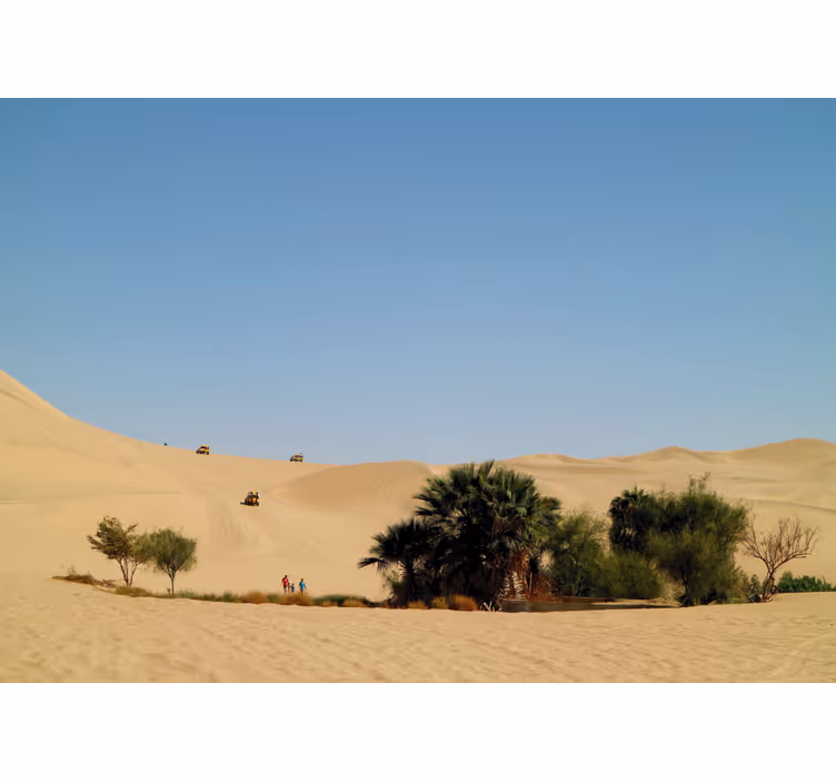 Mural de parede desertos oásis de dunas arenosas - TenStickers