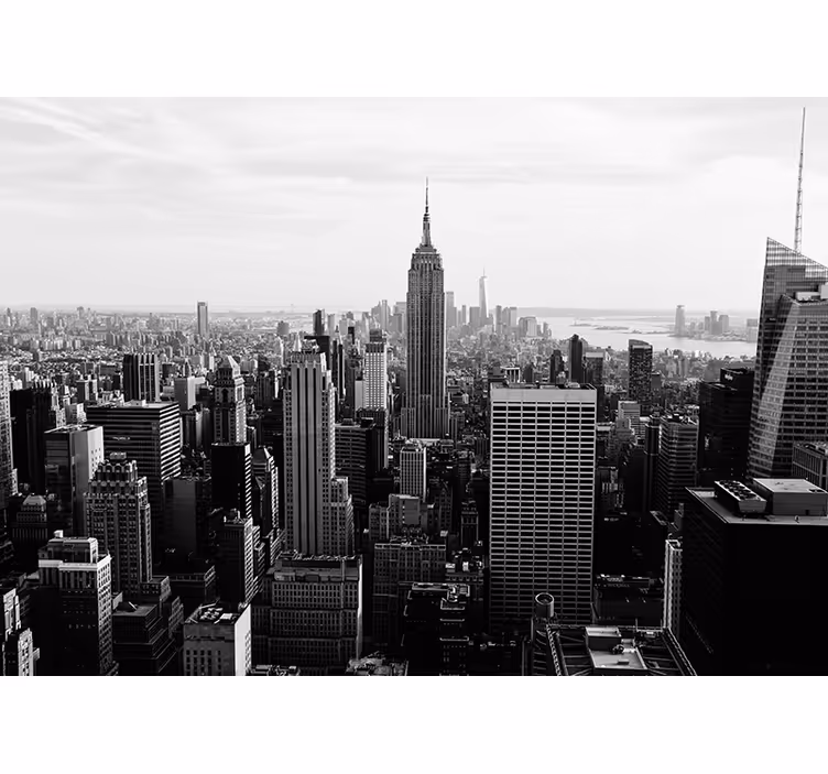 Mural de parede Nova York vista do edifício empire state - TenStickers