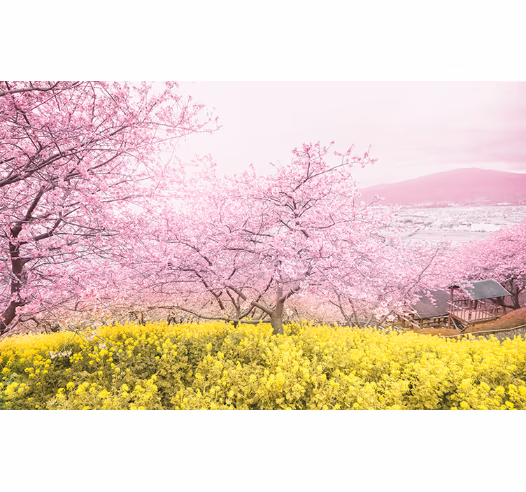 Fotomurais flores tranquilidade da flor de cerejeira - TenStickers