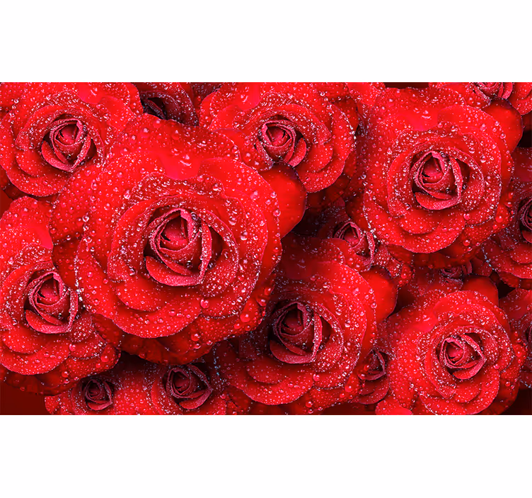 Mural de parede rosas vermelhas em flor - TenStickers