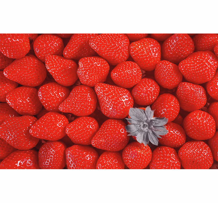 Fotomurais flores morango e flores - TenStickers