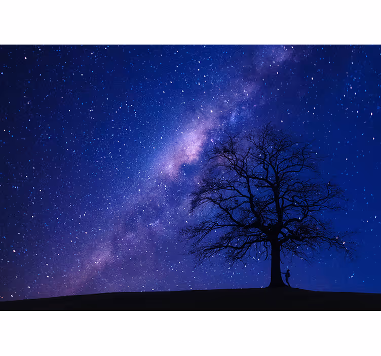 Mural de parede espaço visão noturna astral - TenStickers