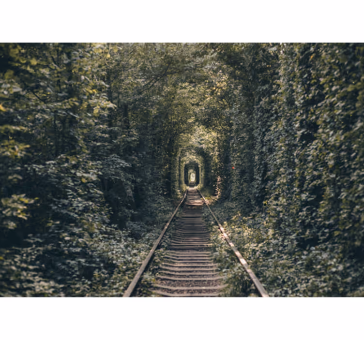 Fotomurais de paisagens caminho do túnel da floresta - TenStickers