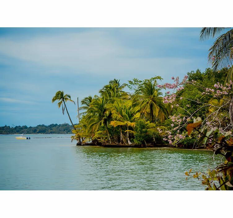 Fotomurais de paisagens Praia paradisíaca na colômbia - TenStickers