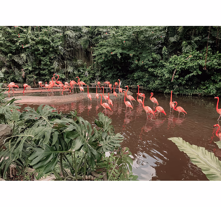 Mural de parede animais flamingos na água - TenStickers