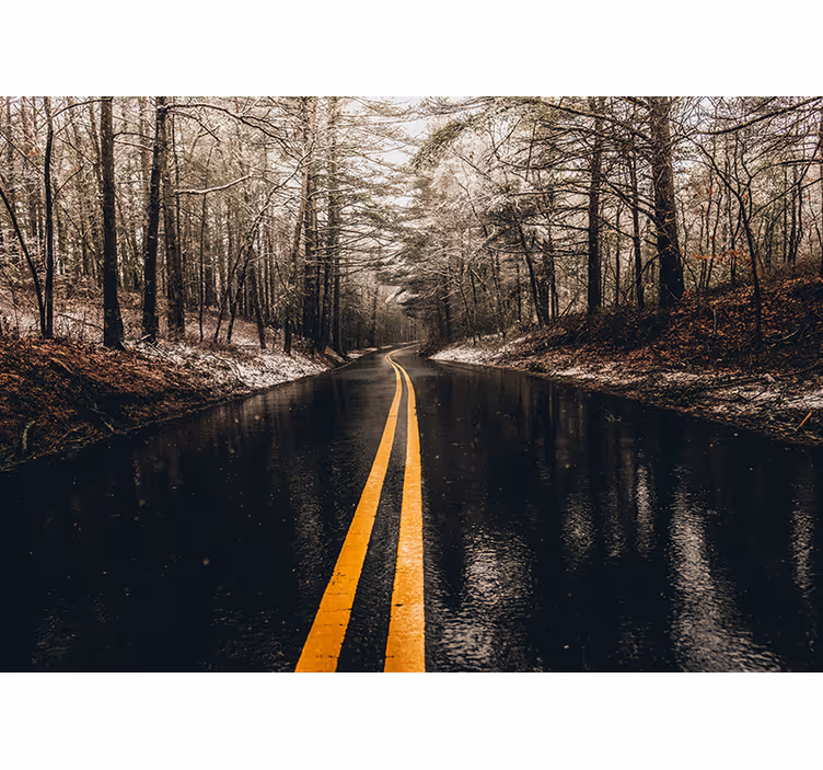 Fotomurais de paisagens estrada florestal sinuosa - TenStickers