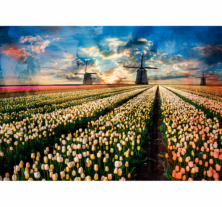 Fotomurais flores Tulipas holandesas - TenStickers
