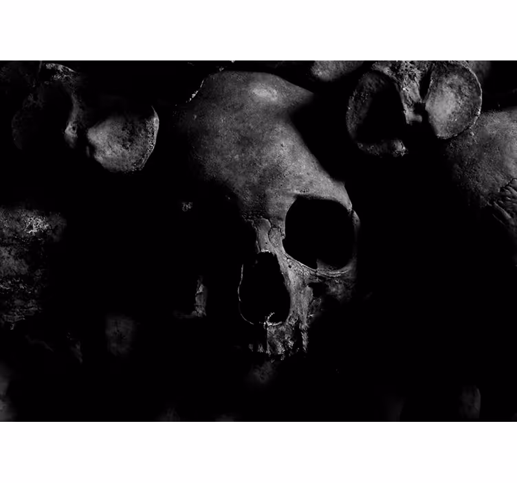 Fotomurais modernos padrão de caveira escura - TenStickers