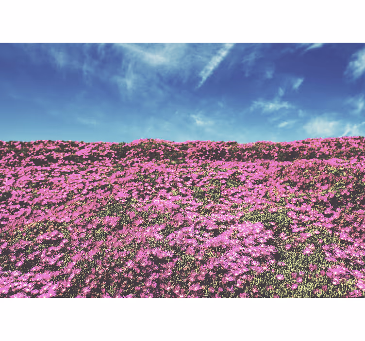 Fotomurais flores rosas vibrantes em flor - TenStickers