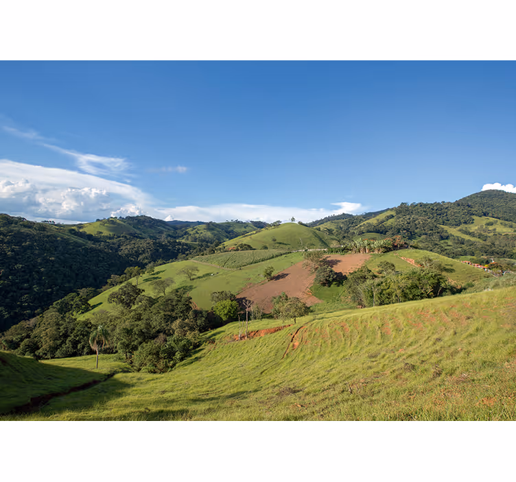 Fotomurais de paisagens colinas verdejantes - TenStickers