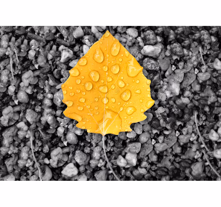 Mural de parede natureza detalhe da folha amarela - TenStickers