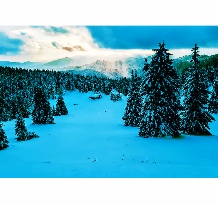 Fotomurais de paisagens floresta de pinheiros nevados - TenStickers