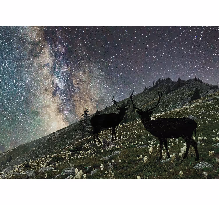 Mural de parede bosques veados da noite estrelada - TenStickers