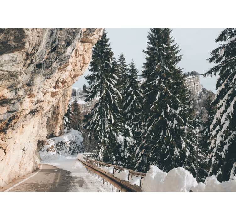 Fotomurais de paisagens paisagem de pinheiros de inverno - TenStickers