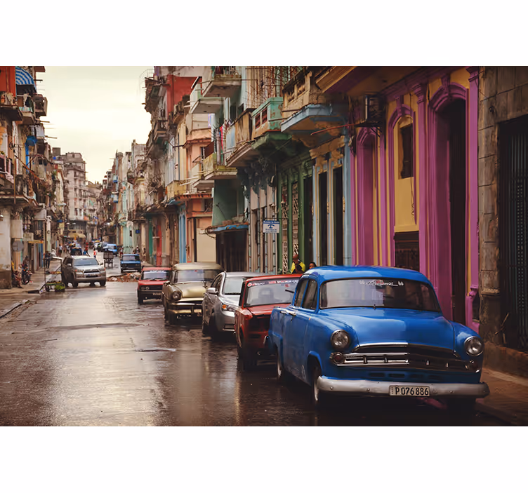 fotomural de parede vintage colorido de carros clássicos - TenStickers