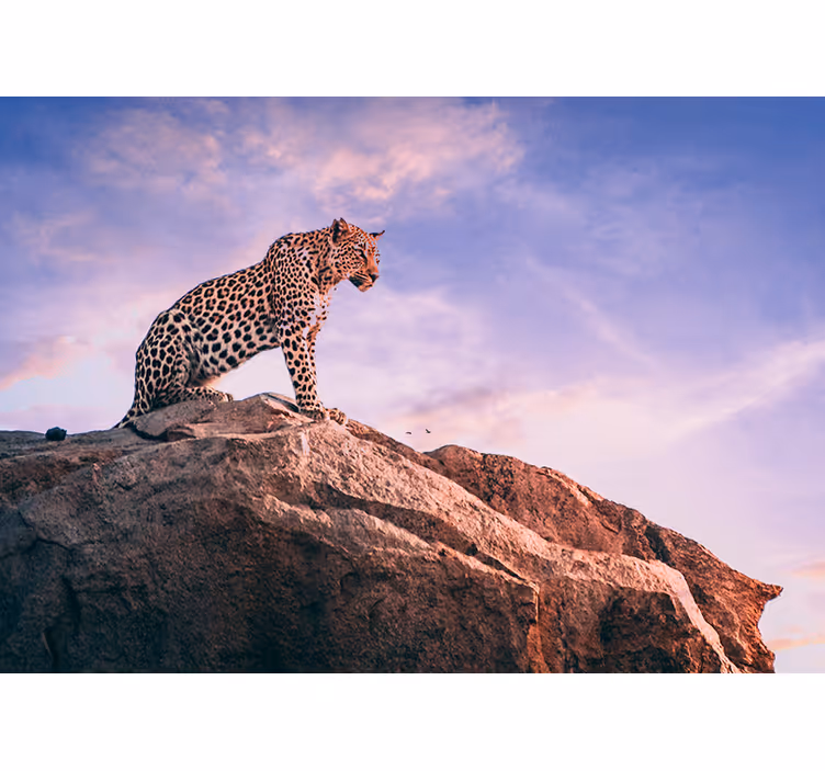 Mural de parede animais leopardo na rocha - TenStickers