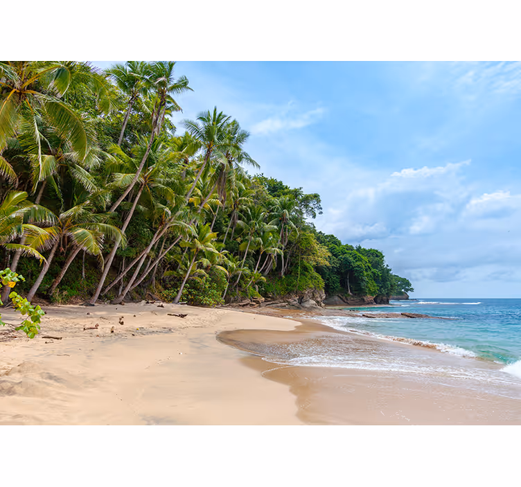 Murais de Parede Praia paradisíaca - TenStickers