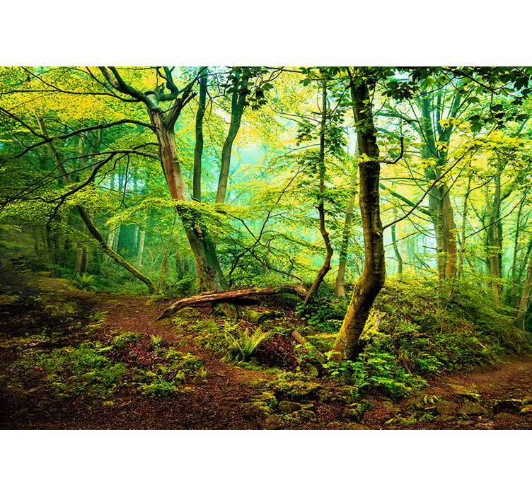 Mural de parede bosques verde vibrante - TenStickers