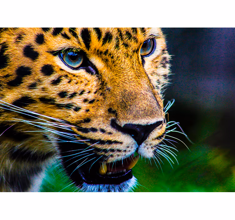 Mural de parede animais leopardo close-up - TenStickers