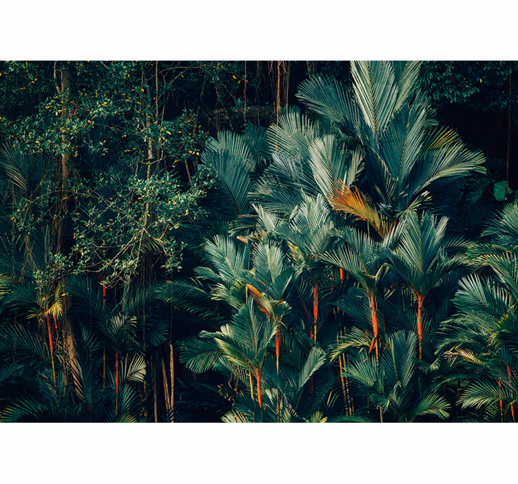 Mural de parede natureza folhagem de palmeira exótica - TenStickers