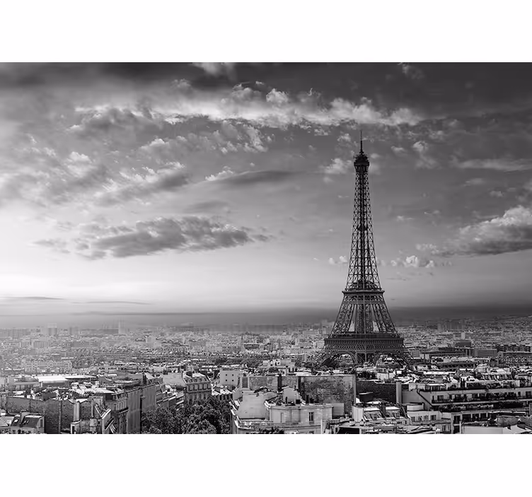 Mural de parede paris ponto de vista da torre eiffel - TenStickers